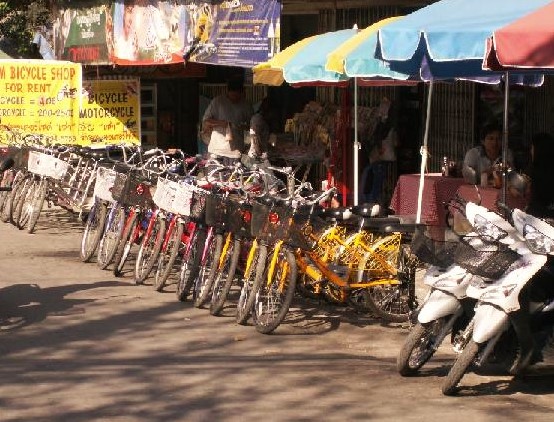 cars, bikes, rent, hire, chiang mai